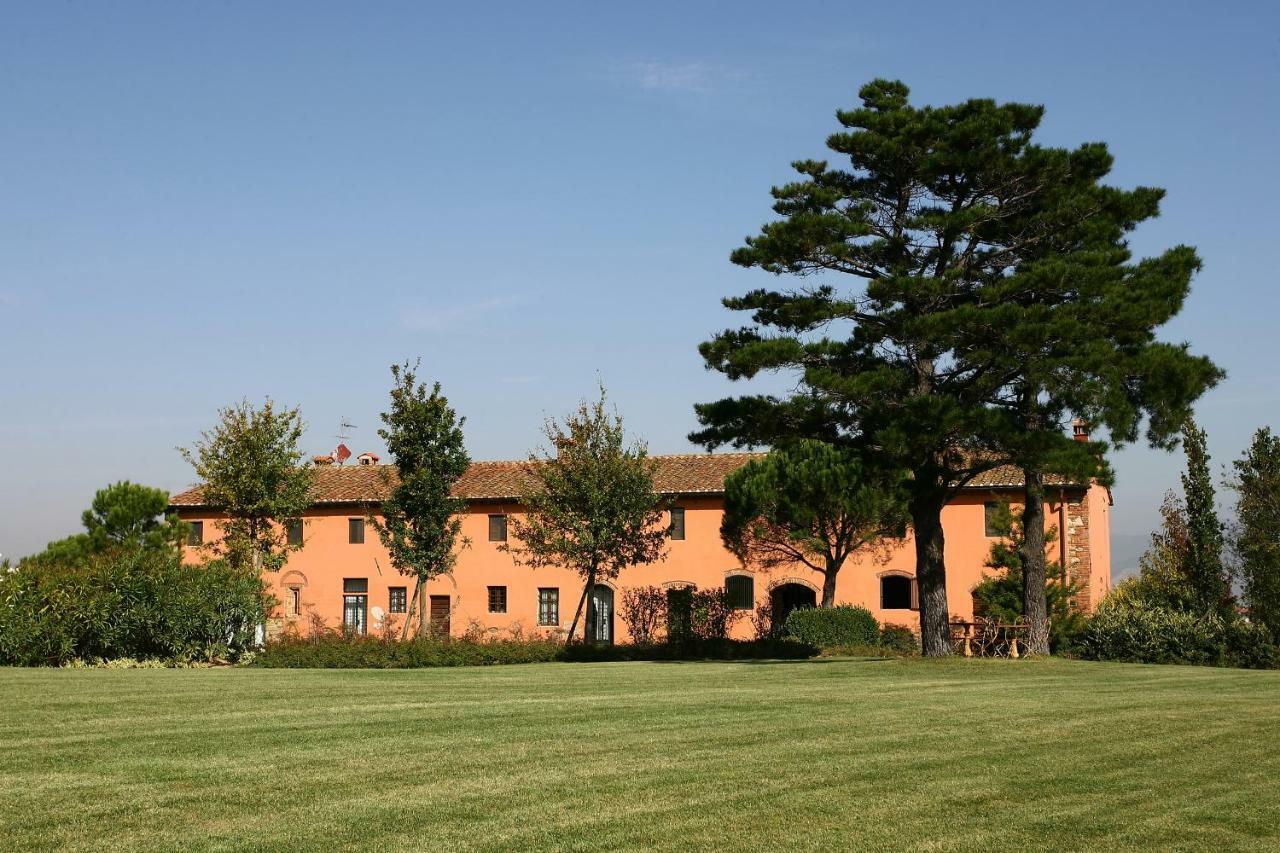 La Magnifica B&B Fauglia Экстерьер фото