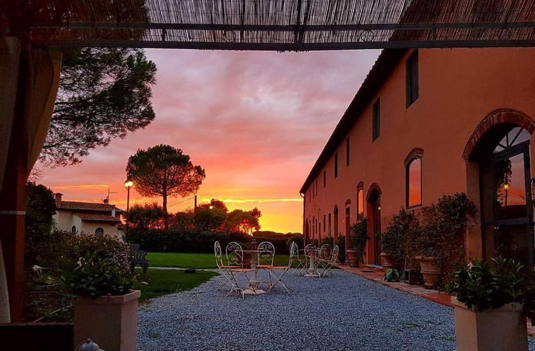 La Magnifica B&B Fauglia Экстерьер фото
